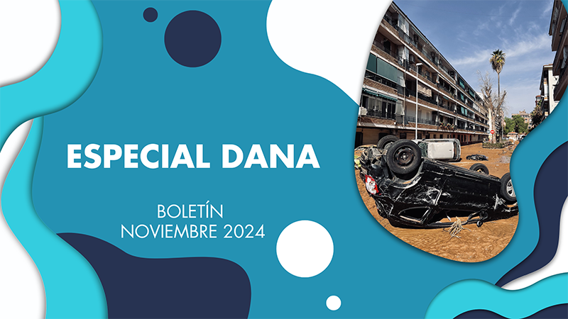 Especial DANA: La gran suma de pequeñas acciones